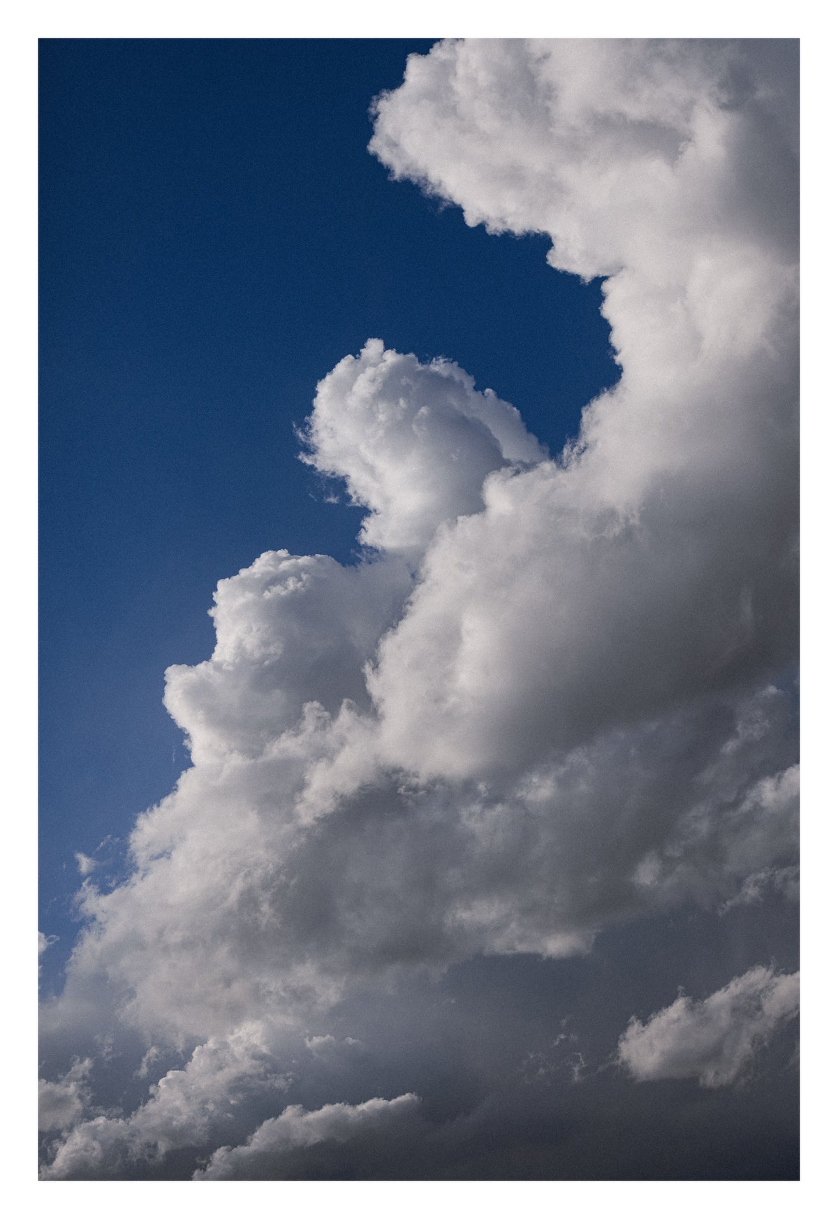 Towering Alberta formations built like marble columns. Shown with the white signing border.