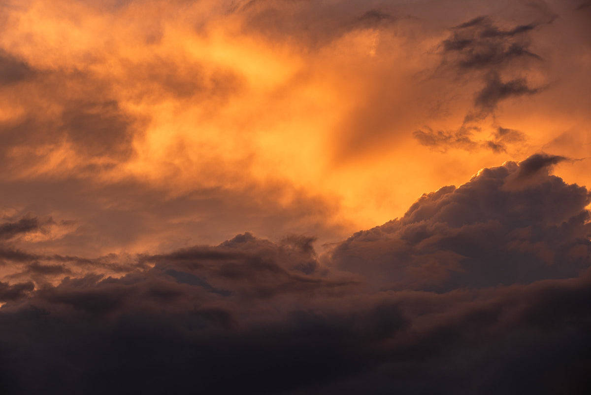 Sky Study, SABLE 5.1: clouds lit orange above a dark storm front